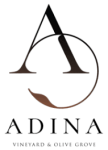 Adina logo